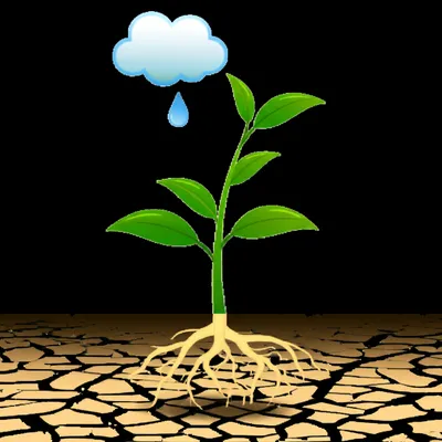 Illustration function - Image 1