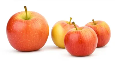 Illustration more - Image 1