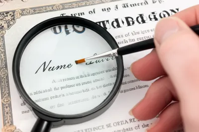 Illustration falsify - Image 1