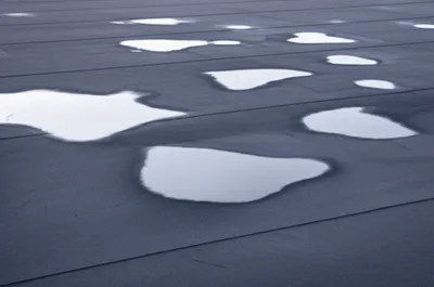 Illustration birdbaths - Image 1