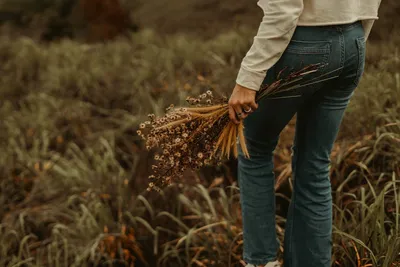 Illustration swishes - Image 2