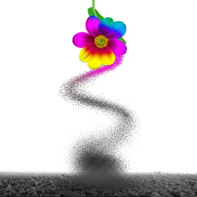 Illustration nilpotent - Image 1