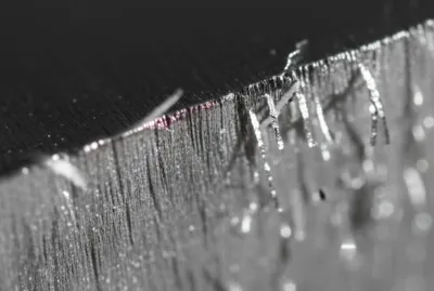 Illustration burr - Image 1