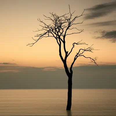 Illustration endings - Image 1