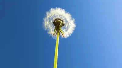 Illustration lightest - Image 1