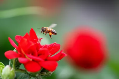 Illustration stimuli - Image 1