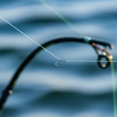 Illustration snood - Image 1