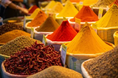 Illustration racier - Image 1