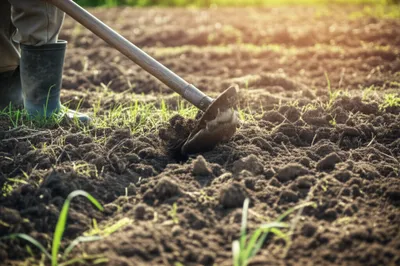 Illustration till - Image 1