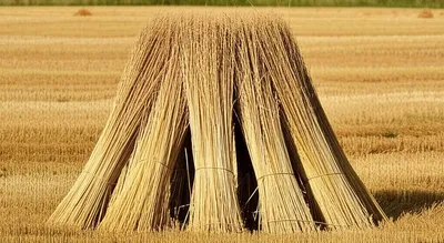 Illustration shock - Image 1