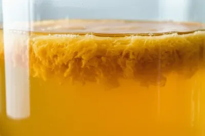 Illustration mother - Image 1