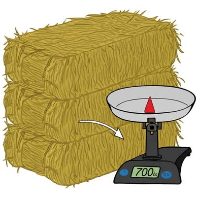 Illustration bale - Image 1