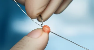 Illustration ligature - Image 1