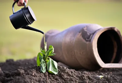 Illustration overturning - Image 1