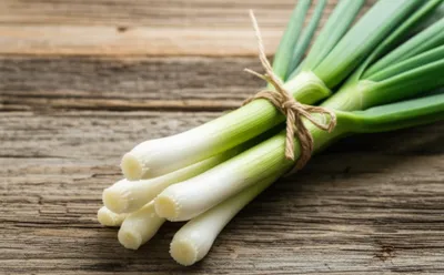 Illustration scallions - Image 1