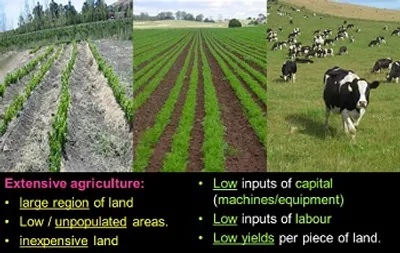 Illustration extensive - Image 2