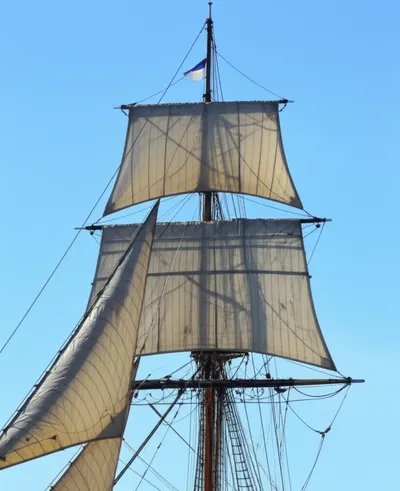 Illustration topgallant - Image 1