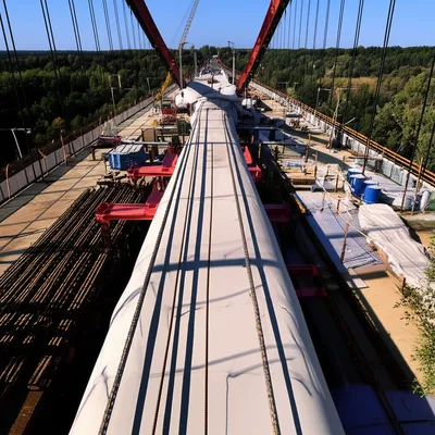 Illustration moratoria - Image 1