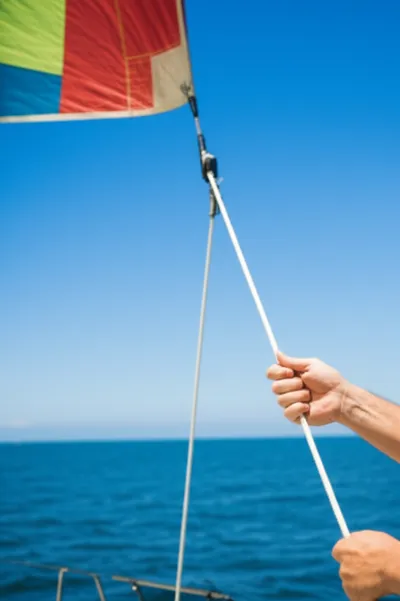 Illustration halyard - Image 1