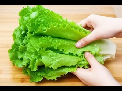 Illustration leafs - Image 1