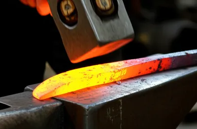 Illustration shank - Image 1