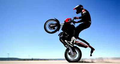 Illustration wheelie - Image 1