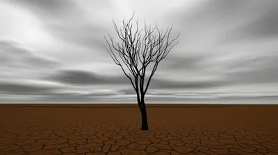 Illustration devoid - Image 1