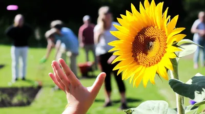 Illustration youthful