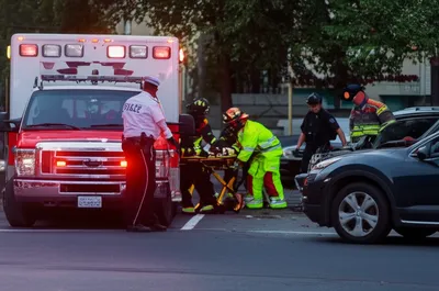 Illustration despatch - Image 1