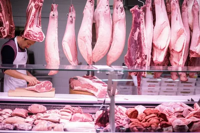 Illustration carcasses - Image 1