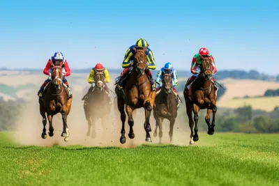 Illustration down - Image 1