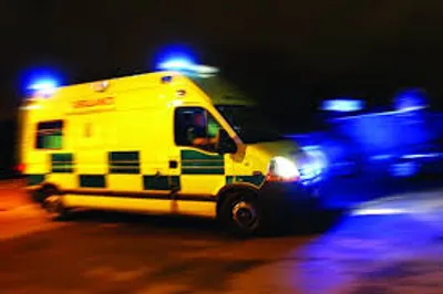 Illustration sore - Image 3