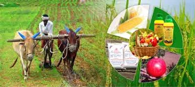 Illustration agricultural - Image 2