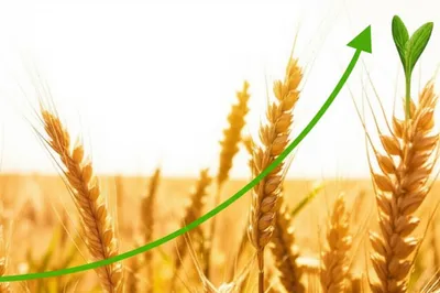 Illustration profiting - Image 1