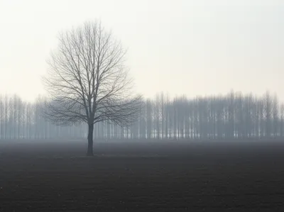 Illustration singles - Image 1