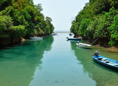 Illustration fleets - Image 1