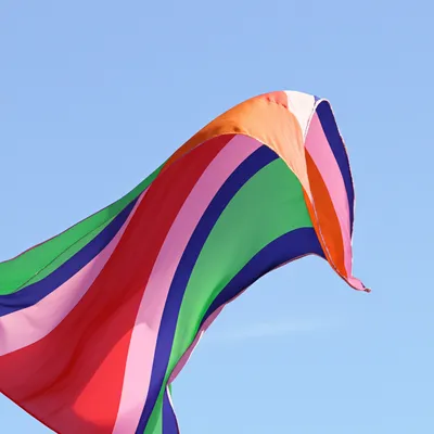 Illustration flaunts - Image 1