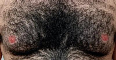 Illustration rugs - Image 1