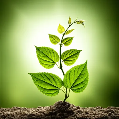 Illustration elevator