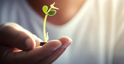 Illustration bosom - Image 1