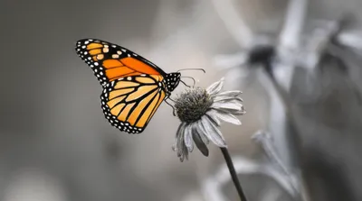 Illustration departing - Image 1