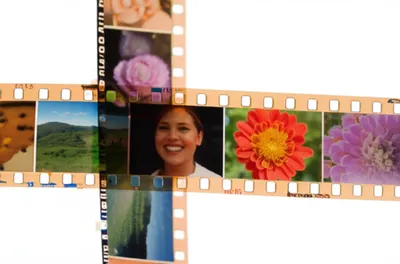 Illustration frames - Image 1