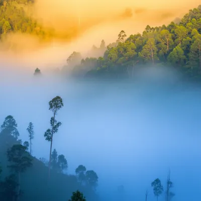 Illustration inversion - Image 1