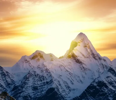 Illustration tops - Image 1