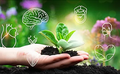 Illustration medicinal