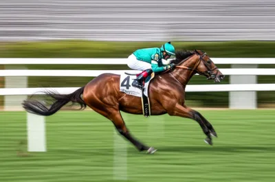 Illustration allowances - Image 1