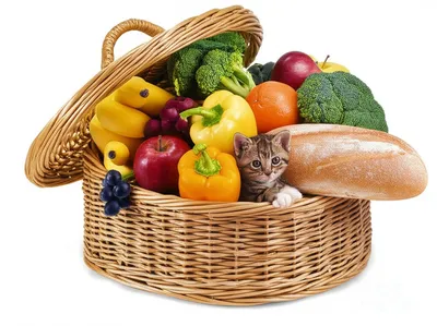 Illustration hamper - Image 1