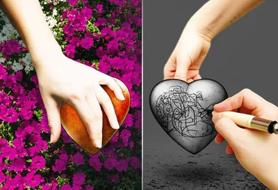 Illustration moralise - Image 1