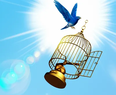 Illustration discharge - Image 1