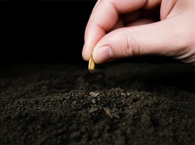 Illustration proprieties - Image 1